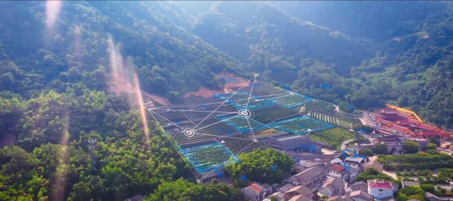 温州市孝恩生平文化传播有限公司：科技赋能打造新型殡葬服务圈(图3)