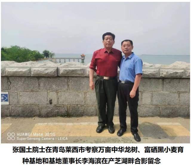 《翰墨情韵颂军魂》新时代非遗文化传播大师代表——张国土(图5)