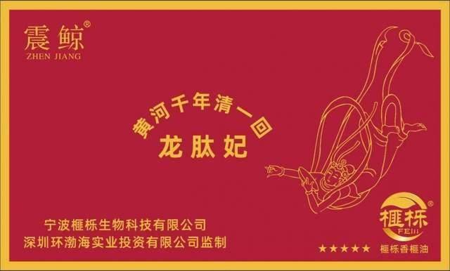 《翰墨情韵颂军魂》新时代非遗文化传播大师代表——张国土(图10)